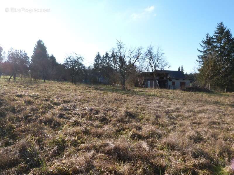 Terrain à SARREGUEMINES