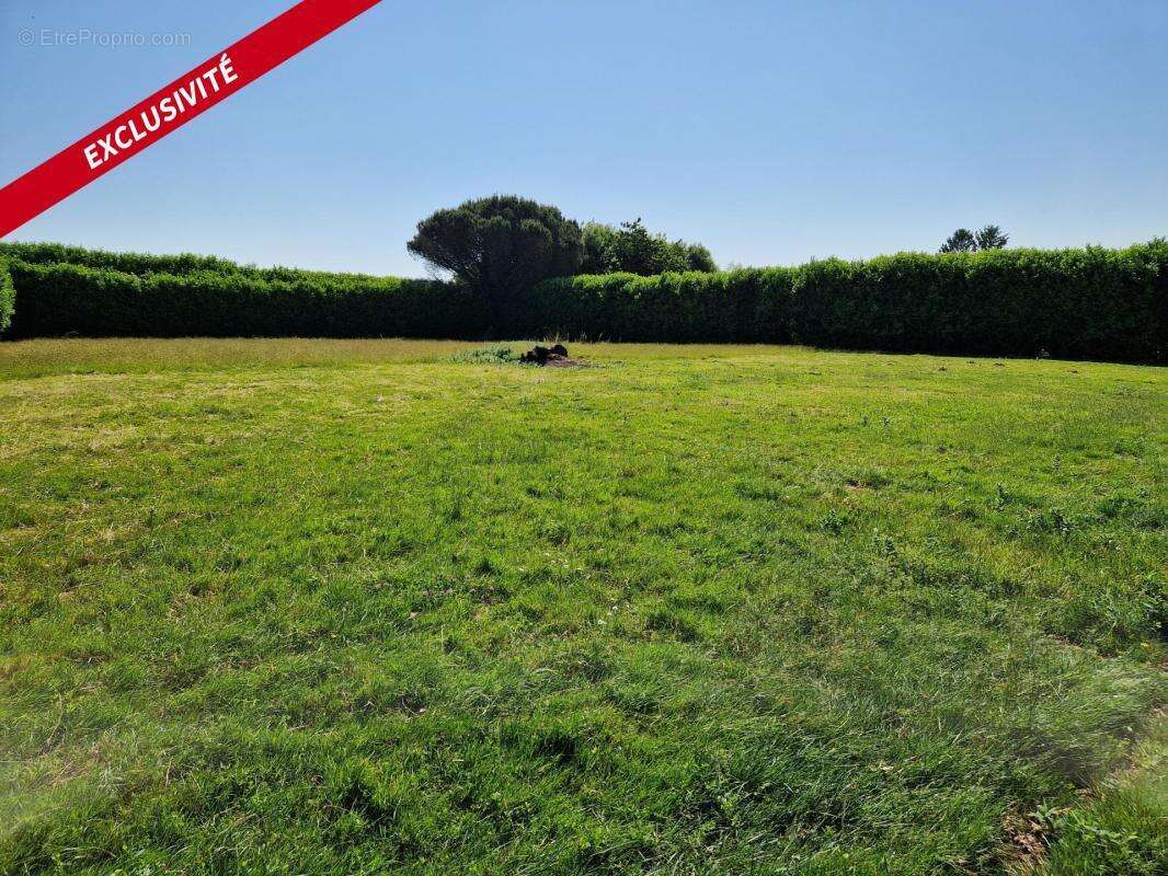 Terrain à LE CHAMP-SAINT-PERE