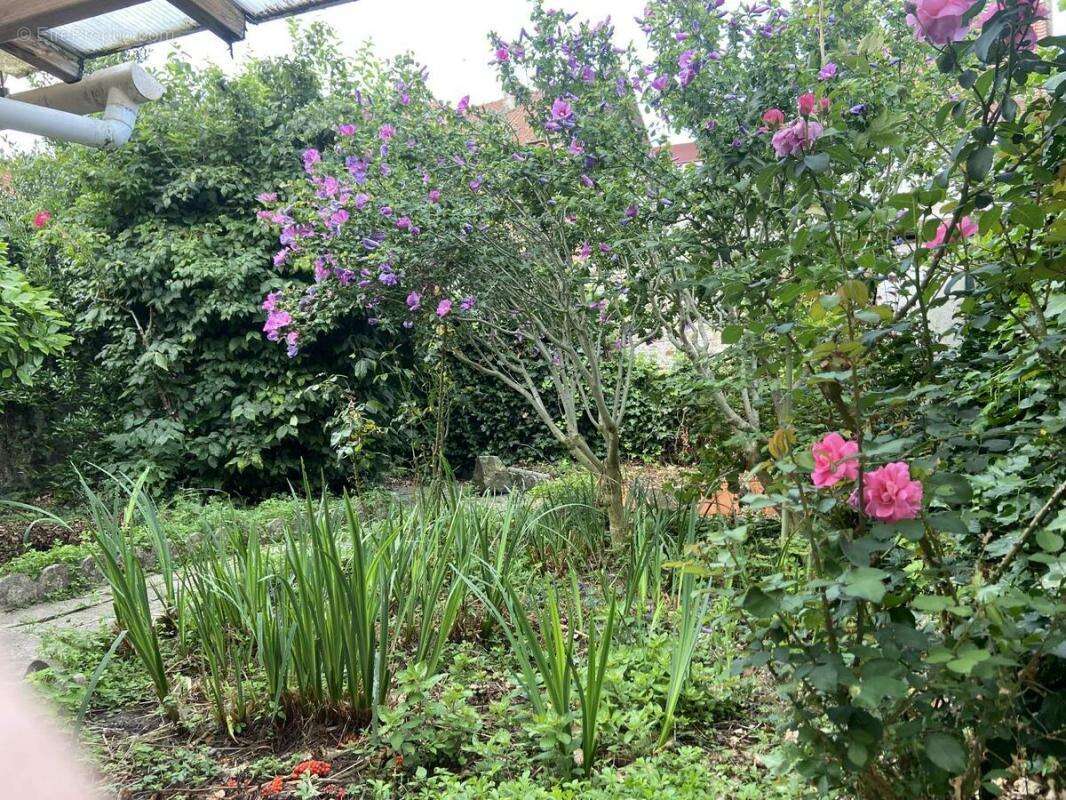 Maison à SAINT-POL-SUR-TERNOISE