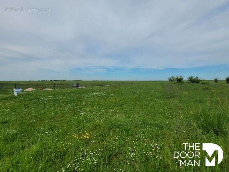 Terrain à VILLEXANTON