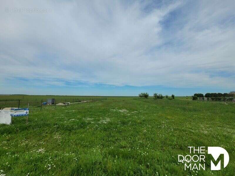 Terrain à VILLEXANTON