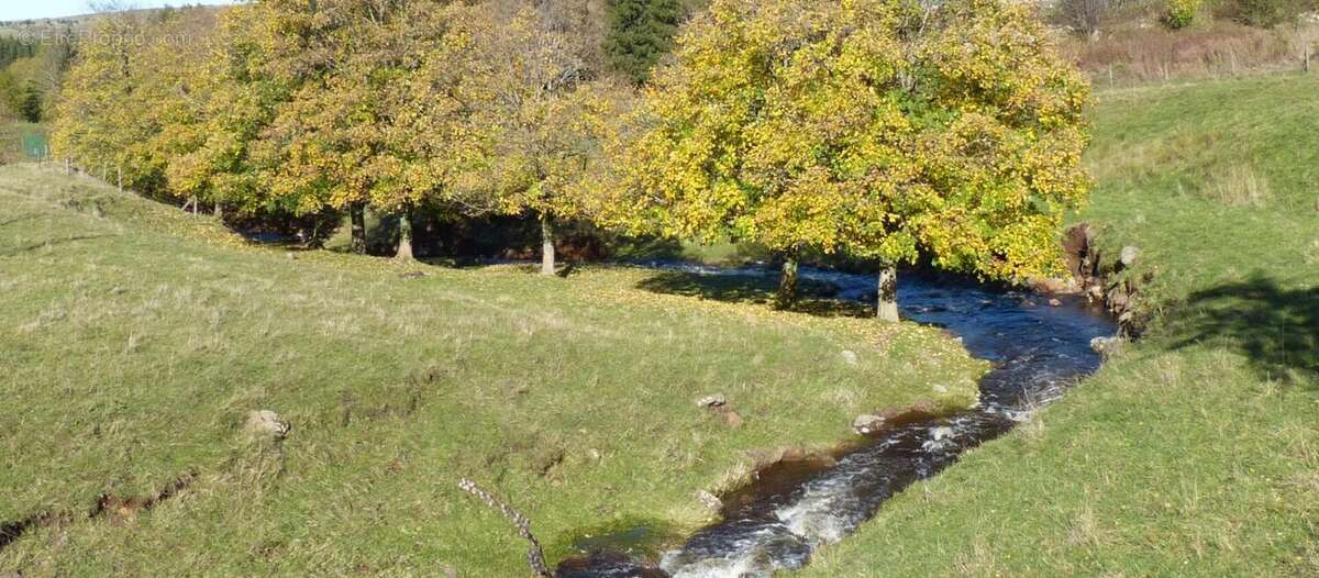 Maison à SAINT-FRONT