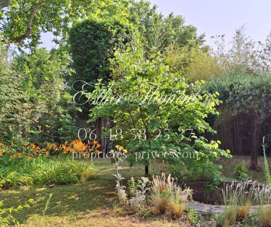 Maison à SAINT-HIPPOLYTE-DU-FORT