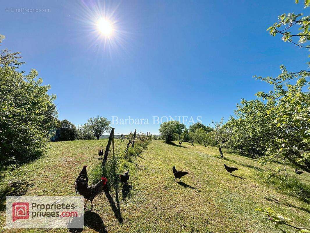 Maison à MONCLAR-DE-QUERCY