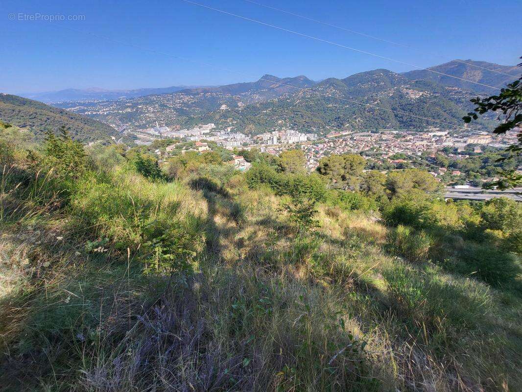 Terrain à LA TRINITE