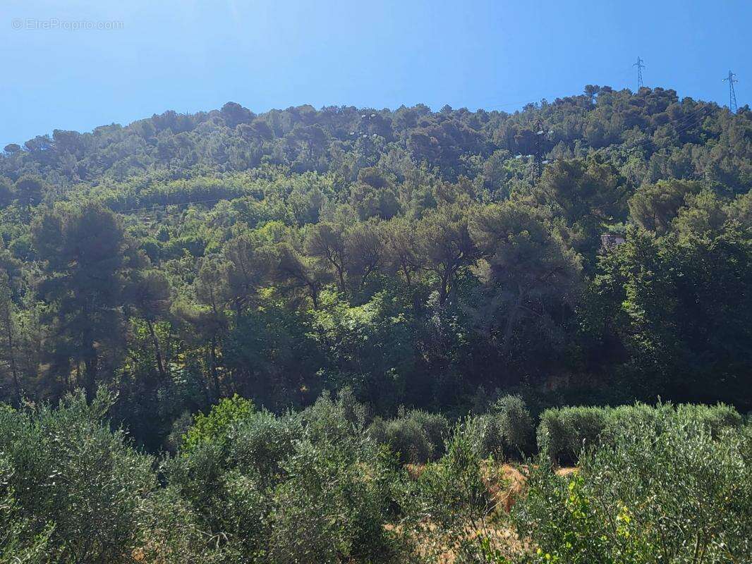 Terrain à LA TRINITE