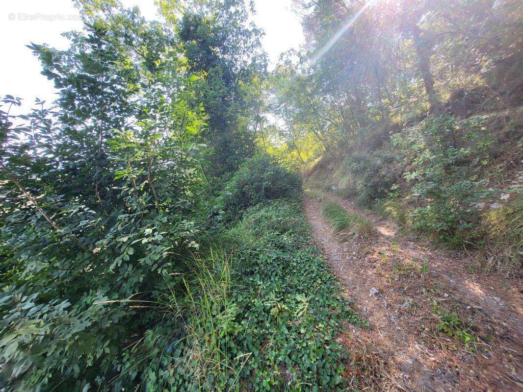 Terrain à LA TRINITE