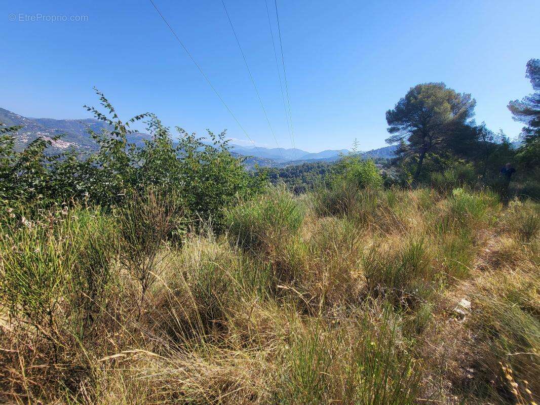 Terrain à LA TRINITE