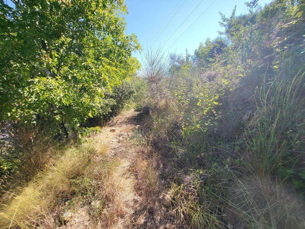 Terrain à LA TRINITE