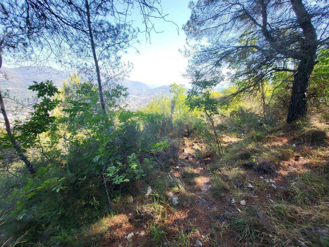 Terrain à LA TRINITE