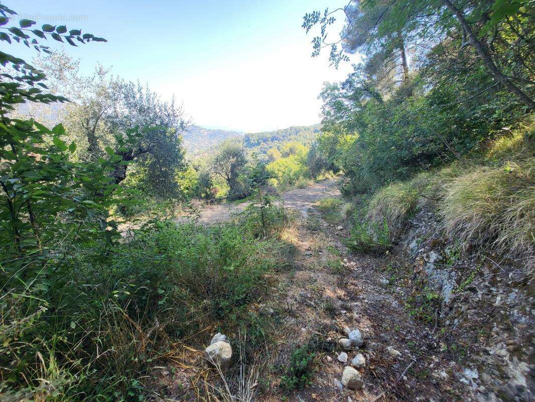 Terrain à LA TRINITE