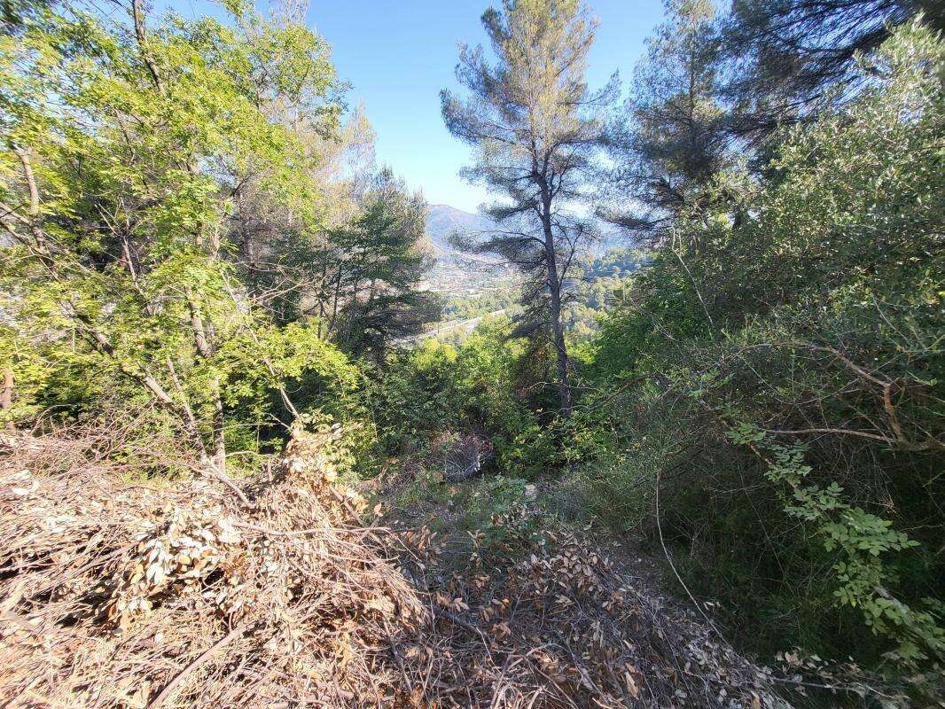 Terrain à LA TRINITE