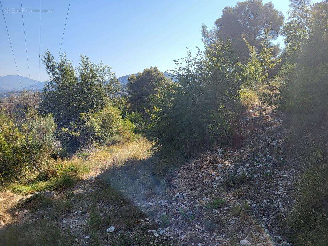 Terrain à LA TRINITE