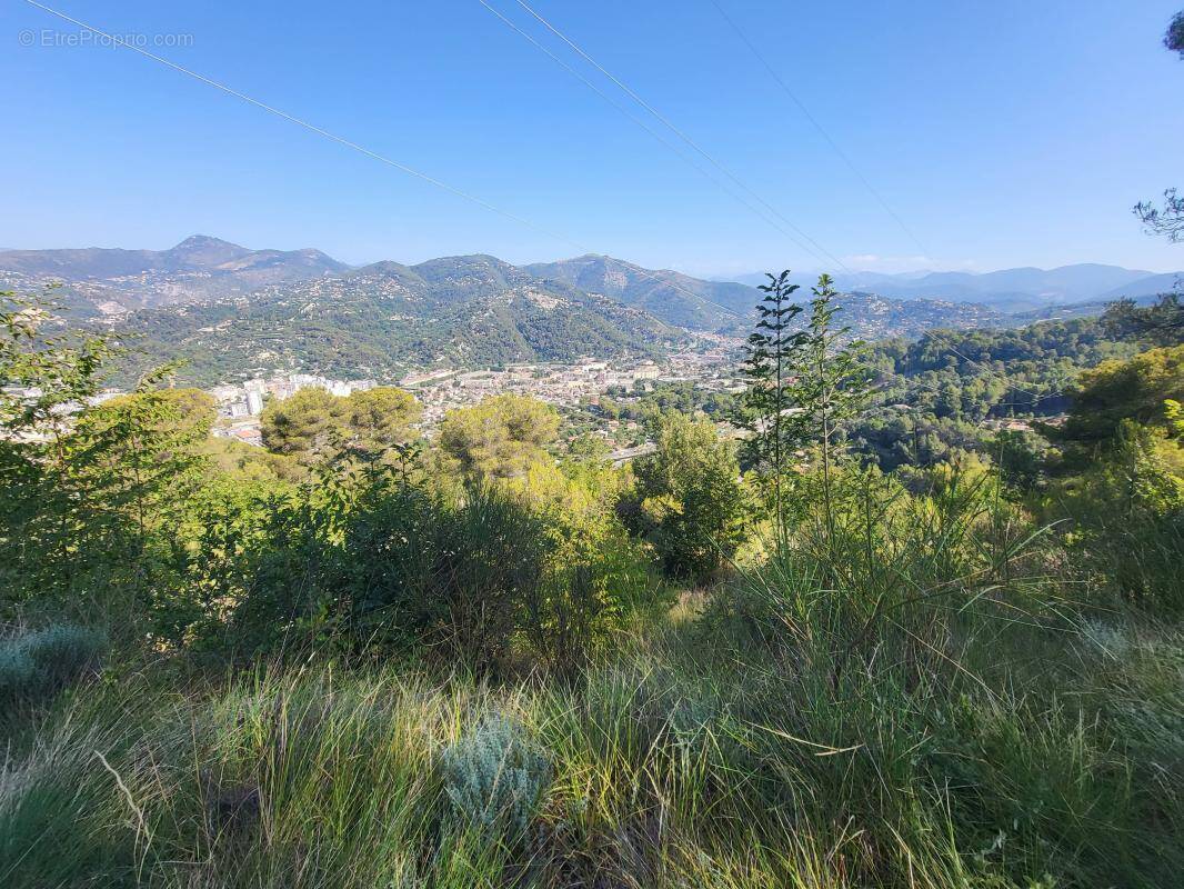 Terrain à LA TRINITE