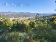 Terrain à LA TRINITE