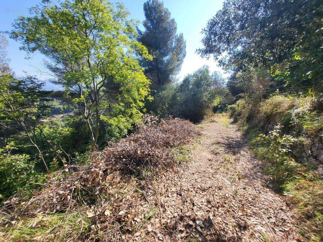 Terrain à LA TRINITE