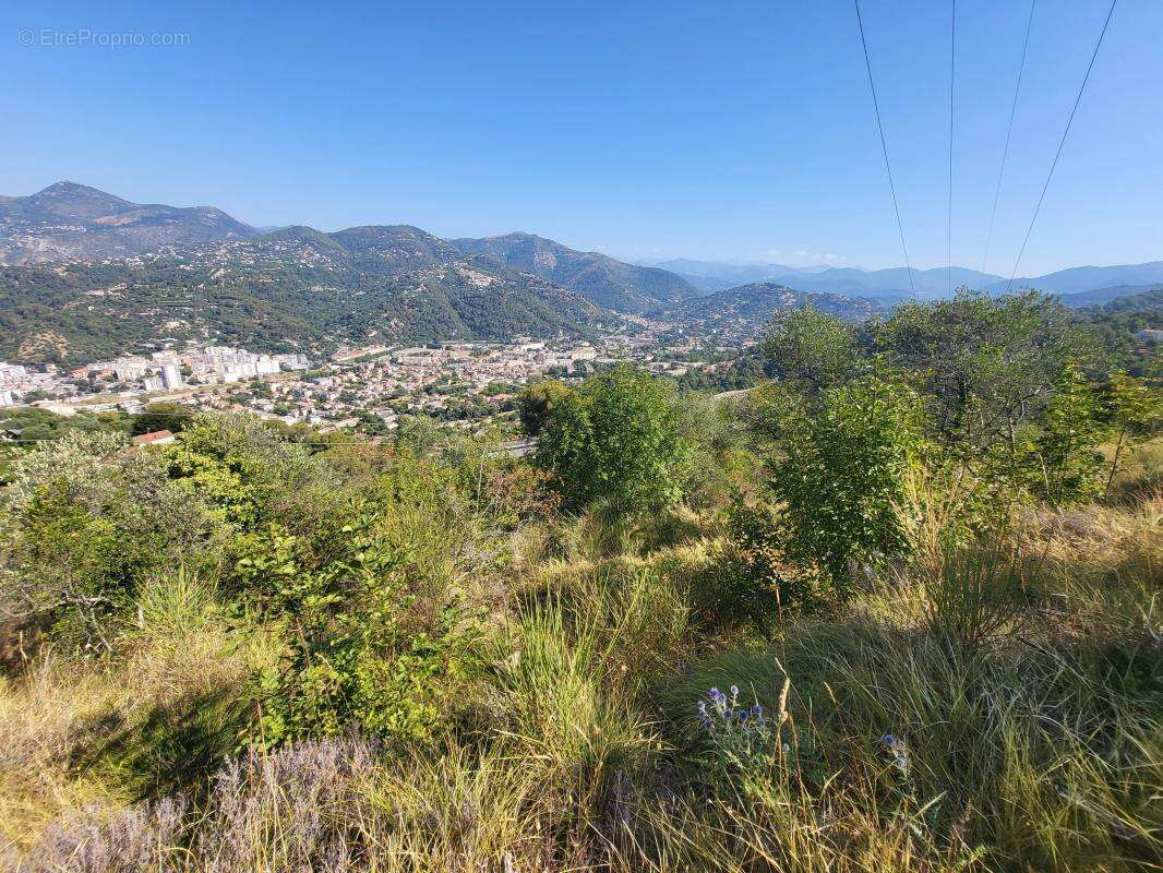 Terrain à LA TRINITE