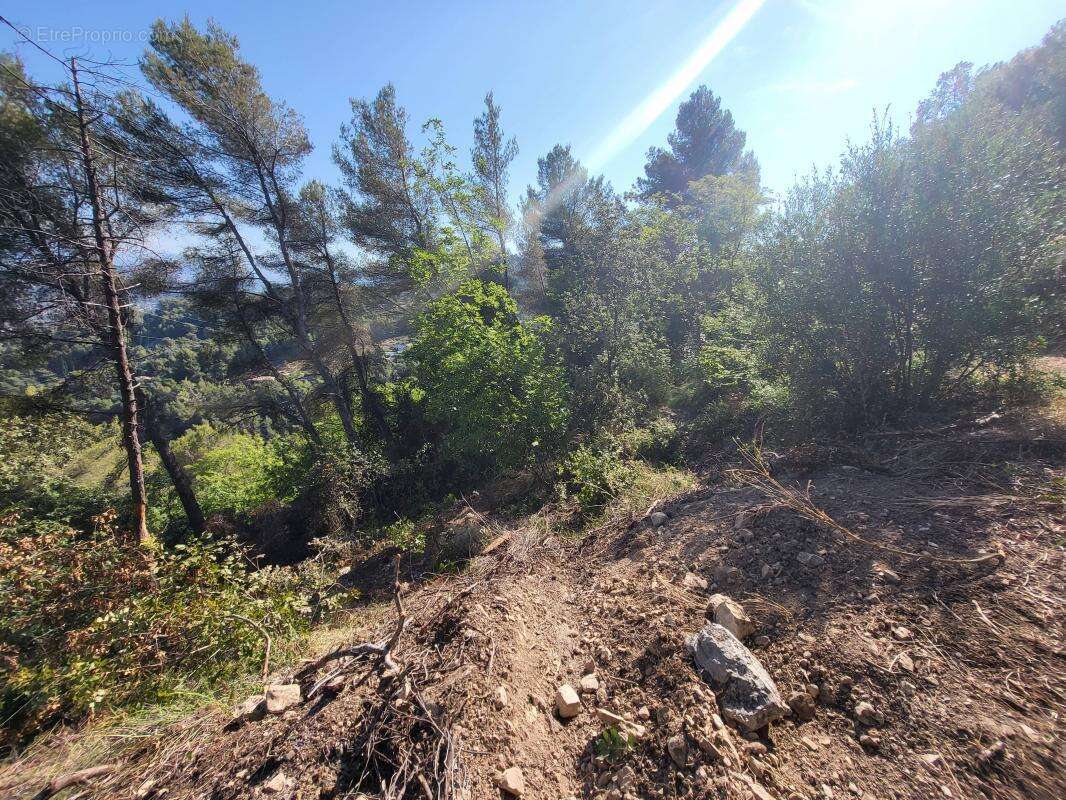 Terrain à LA TRINITE