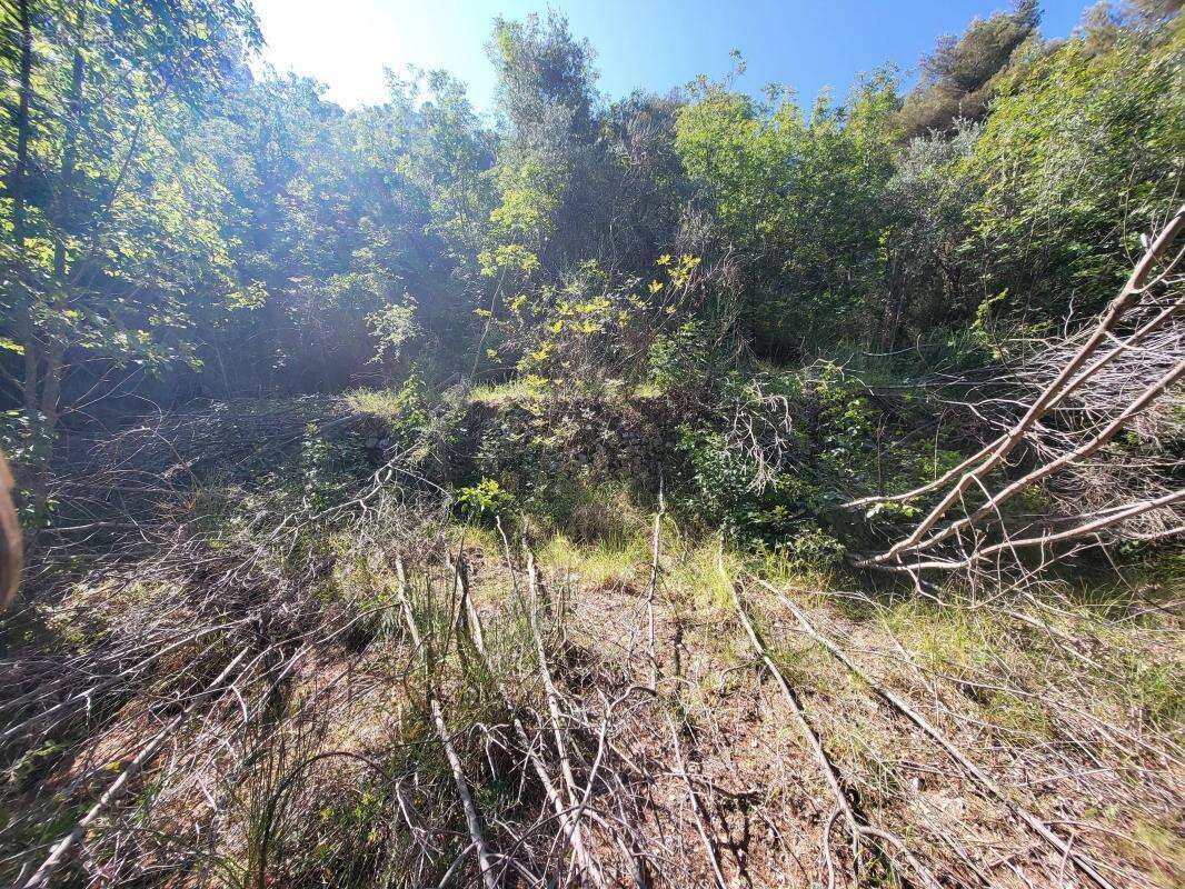 Terrain à LA TRINITE