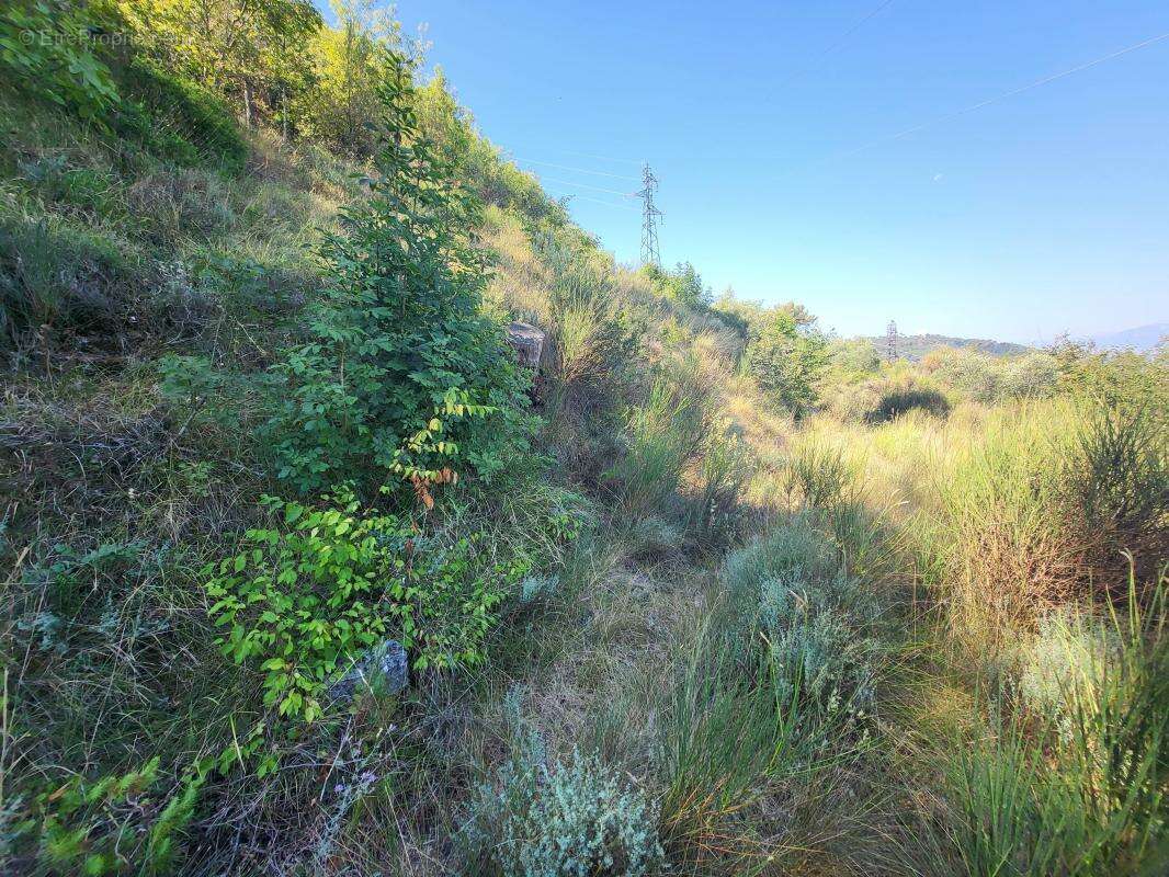 Terrain à LA TRINITE