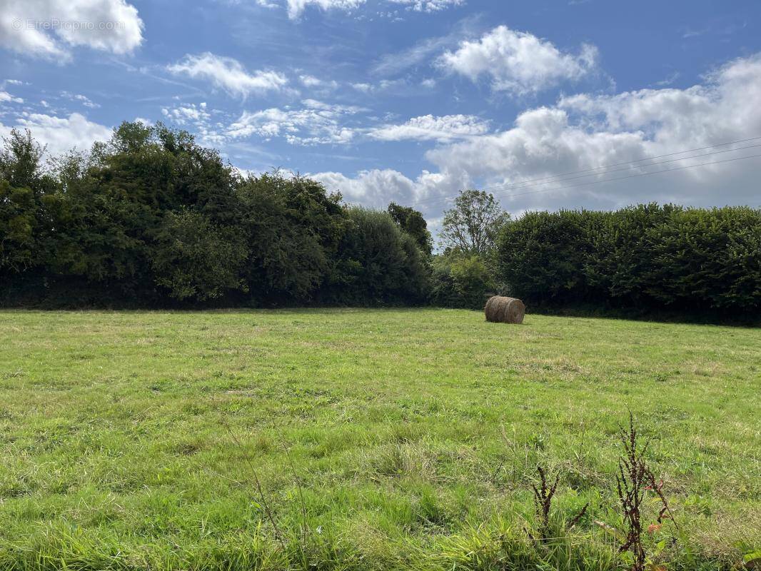 Terrain à BOULLEVILLE