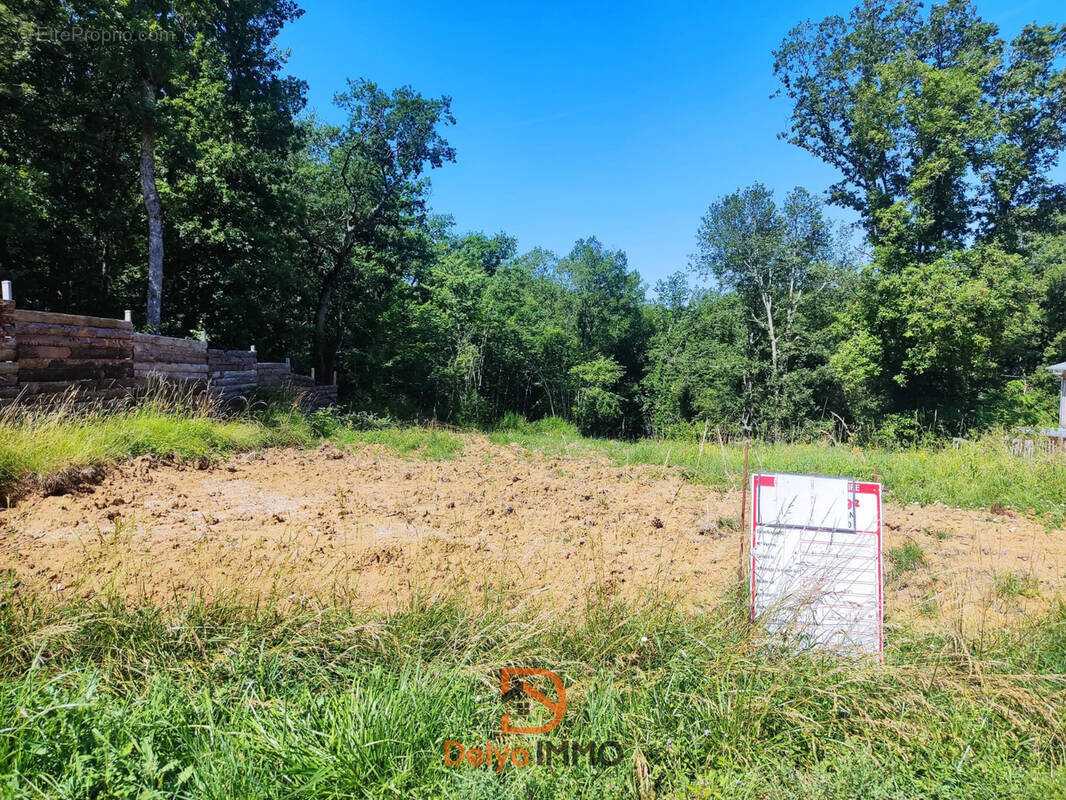 Terrain à MONTDURAUSSE