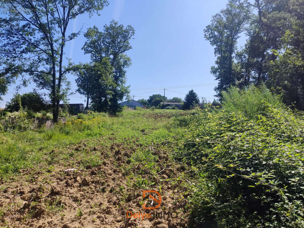 Terrain à MONTDURAUSSE