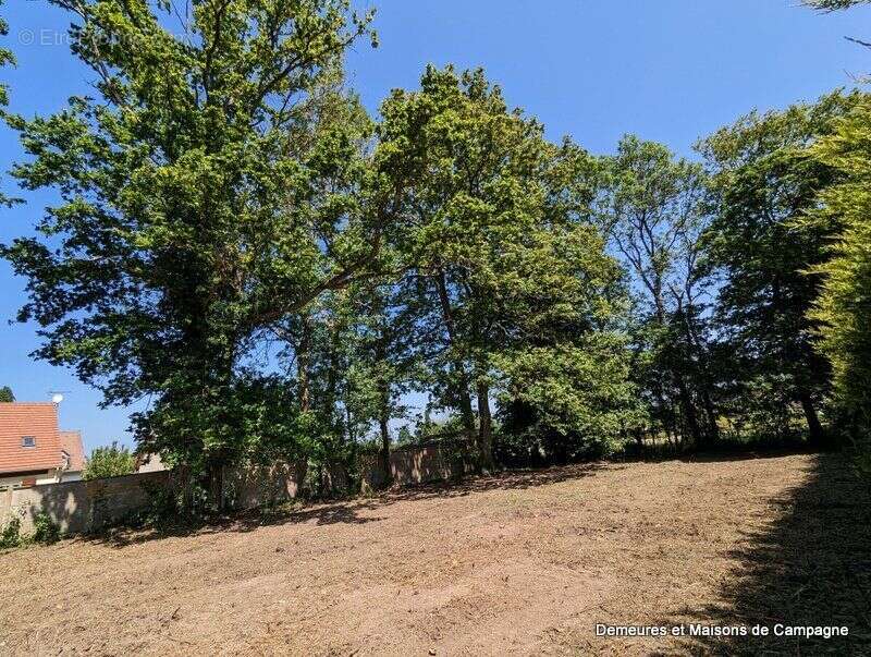Terrain à LE PERRAY-EN-YVELINES