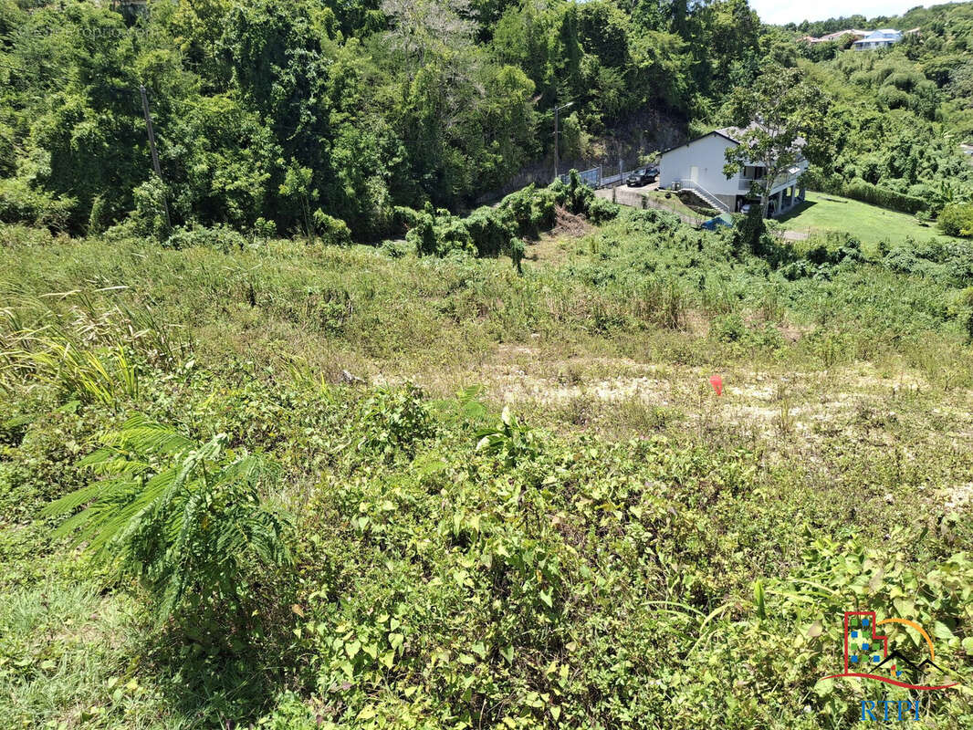 Terrain à LE GOSIER