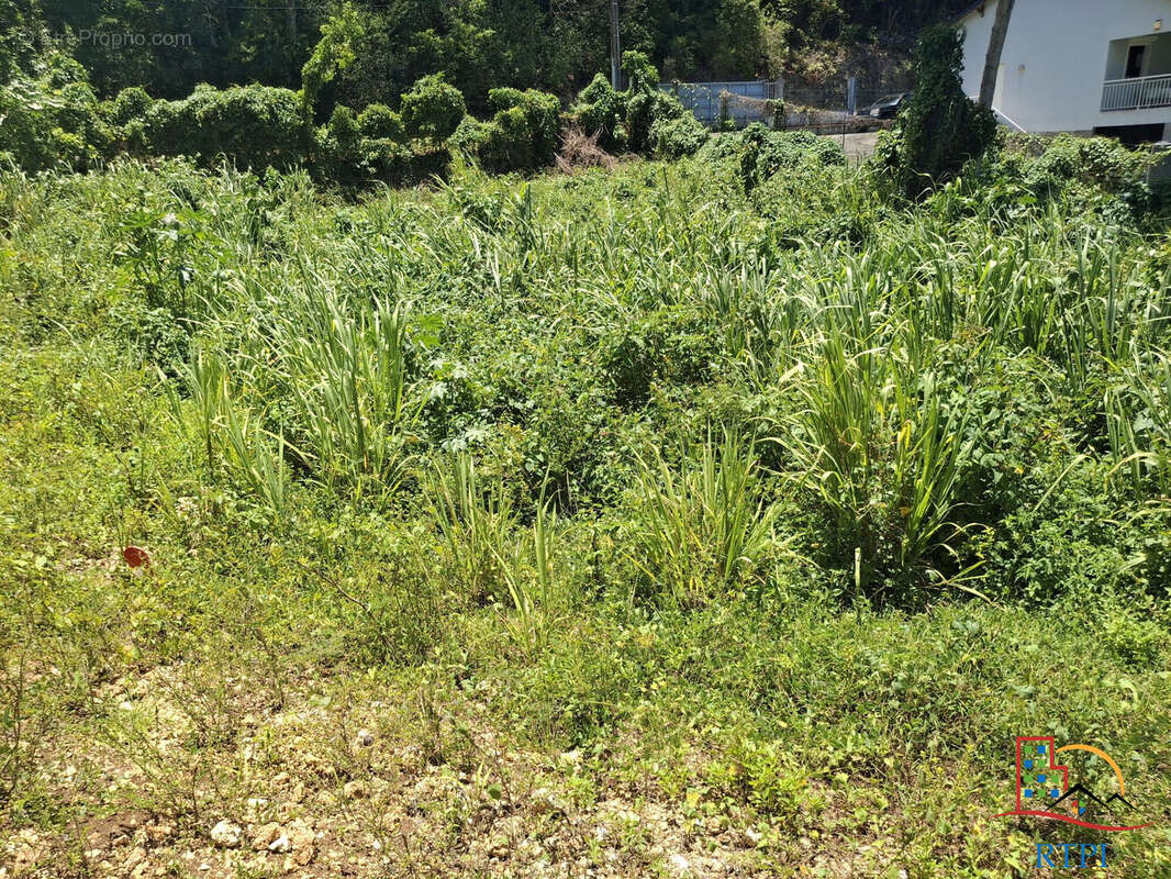 Terrain à LE GOSIER