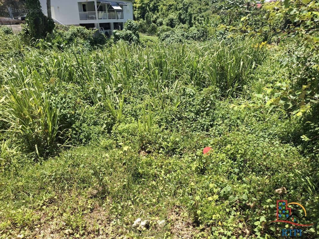 Terrain à LE GOSIER