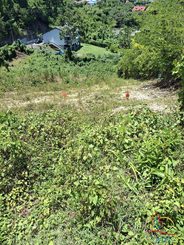 Terrain à LE GOSIER