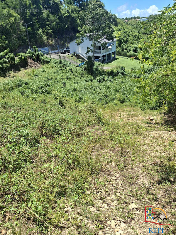 Terrain à LE GOSIER