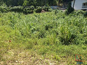 Terrain à LE GOSIER