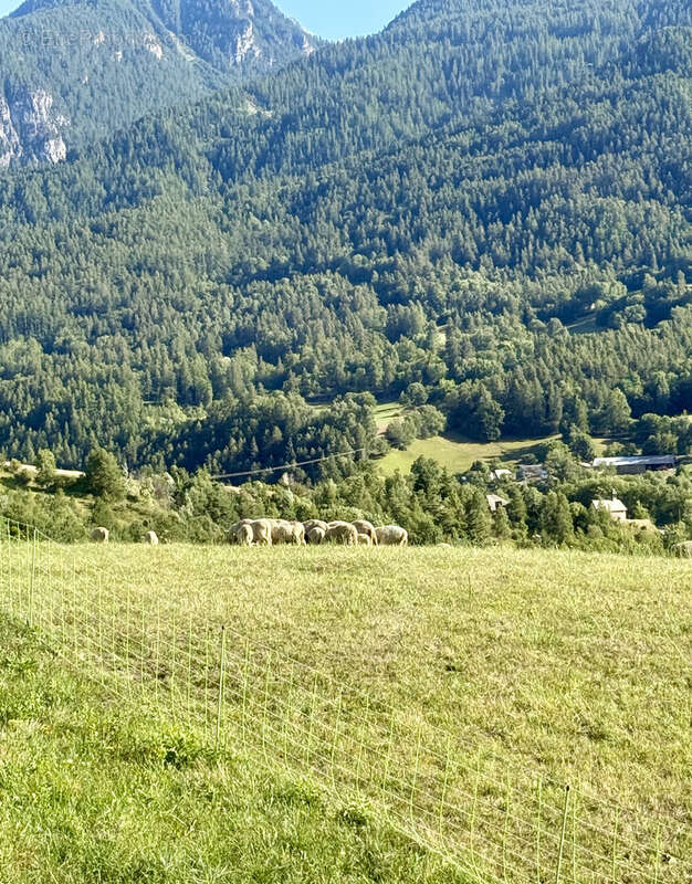 Maison à SAINT-SAUVEUR