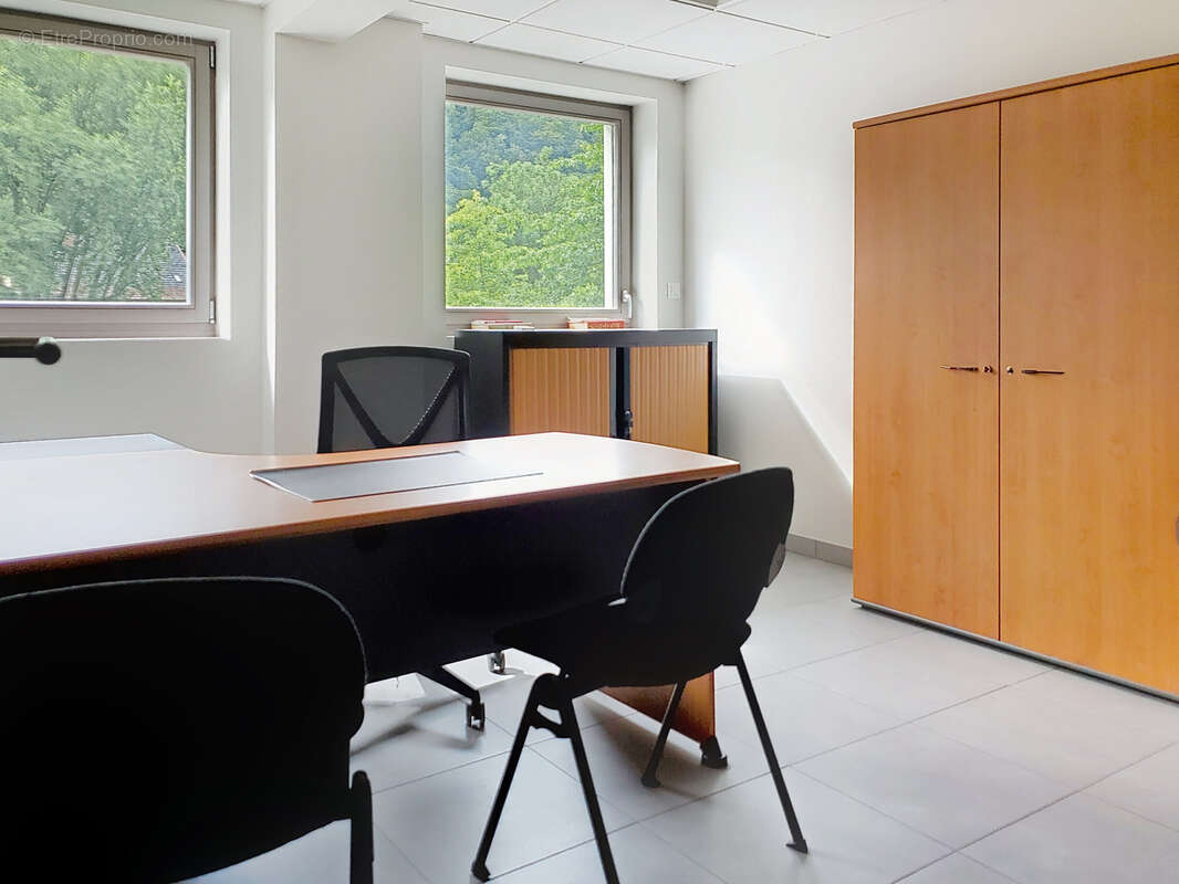 Commerce à SCHIRMECK