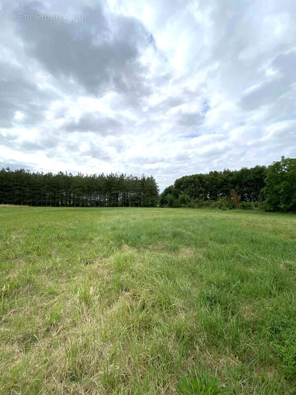 Terrain à GRISOLLES