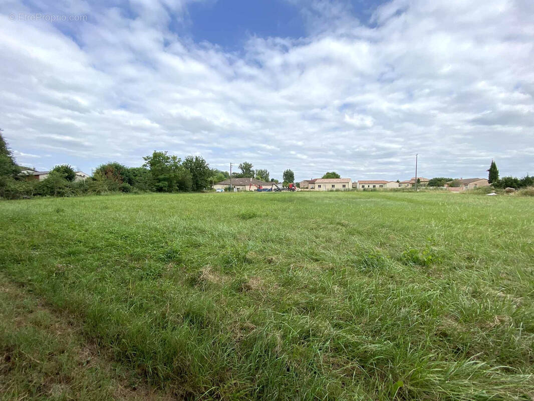 Terrain à GRISOLLES
