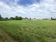 Terrain à GRISOLLES