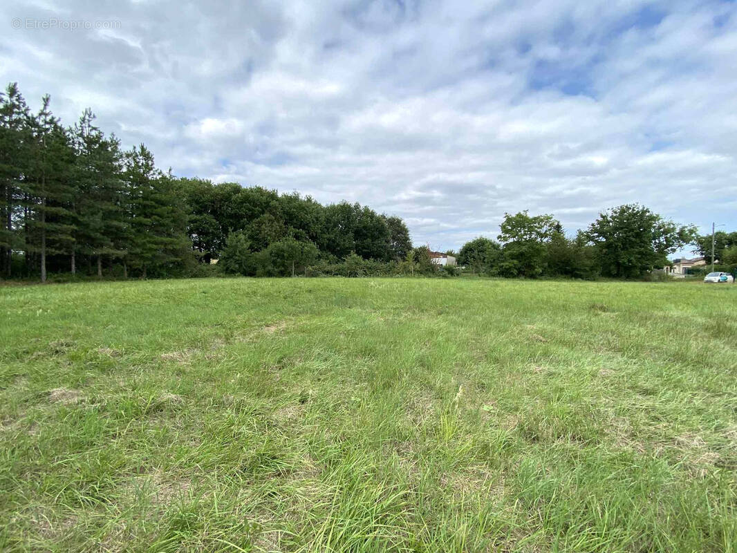 Terrain à GRISOLLES