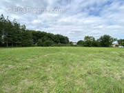 Terrain à GRISOLLES