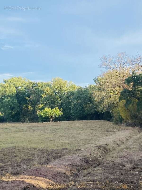Terrain à PUGET-SUR-ARGENS
