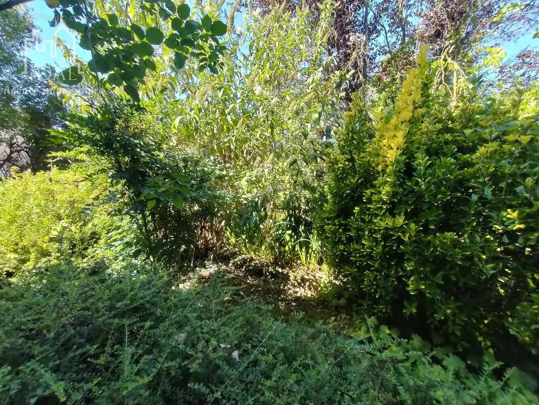 Maison à SAINT-AFFRIQUE