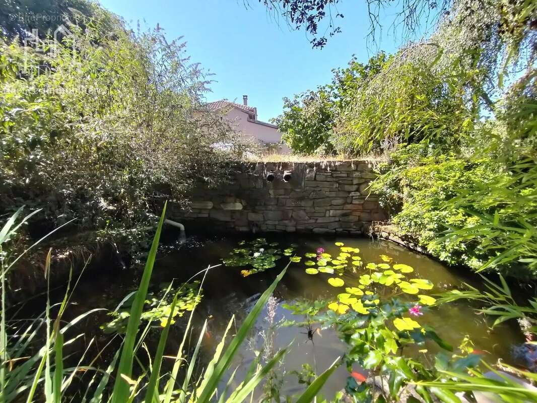 Maison à SAINT-AFFRIQUE