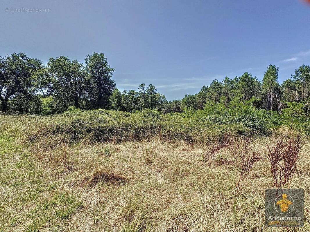 Terrain à SAINT-PAUL-EN-BORN