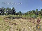 Terrain à SAINT-PAUL-EN-BORN
