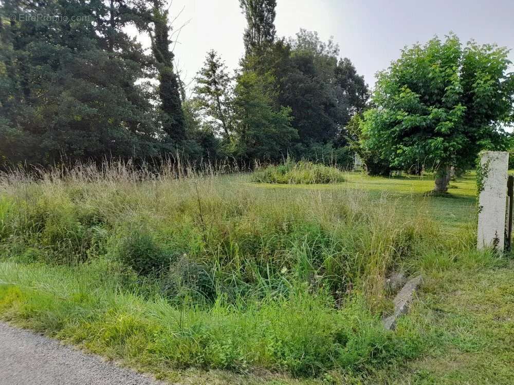 Terrain à COURS-DE-PILE