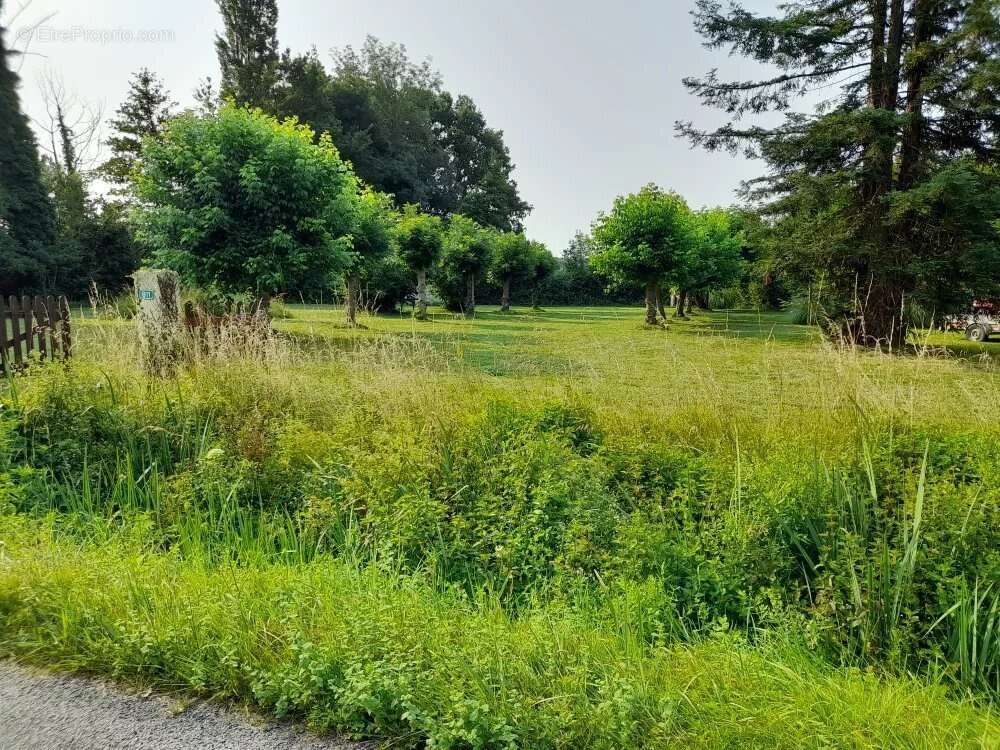 Terrain à COURS-DE-PILE