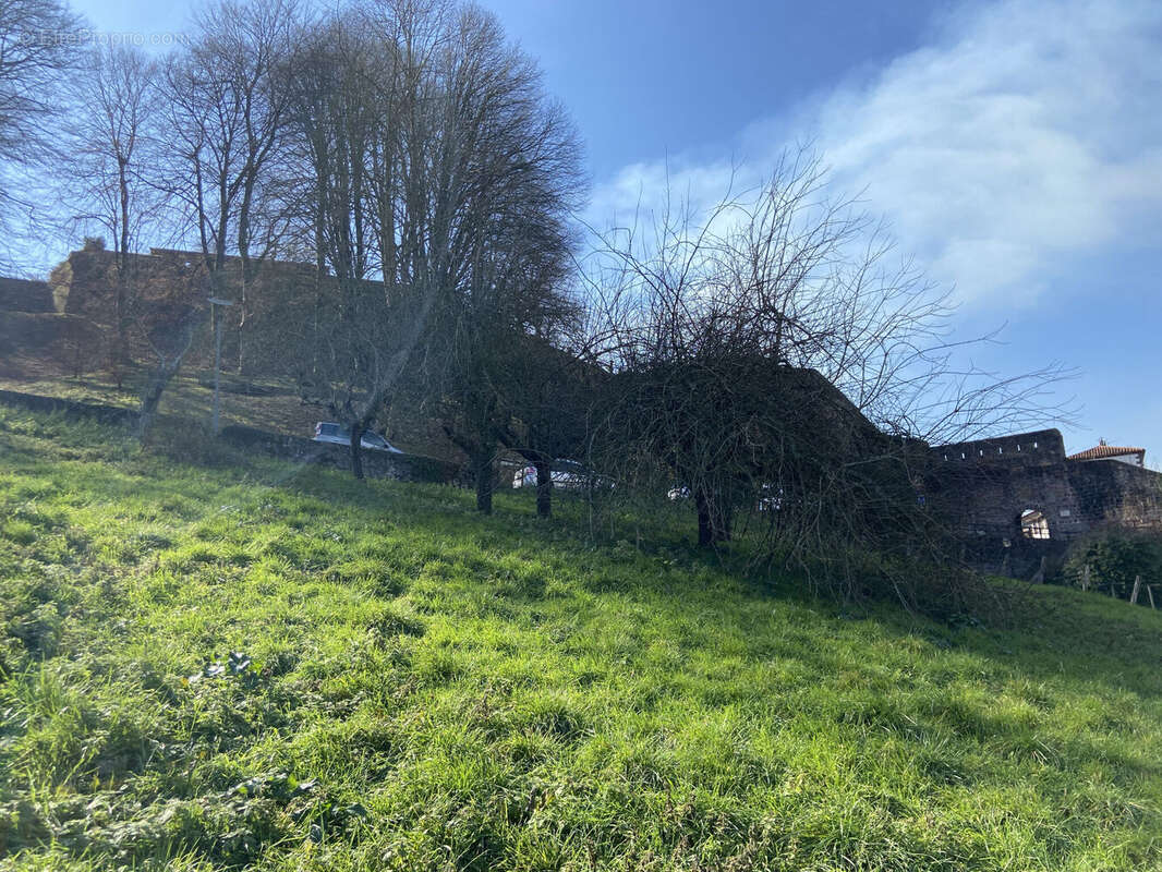 Photo 5 - Terrain à SAINT-JEAN-PIED-DE-PORT