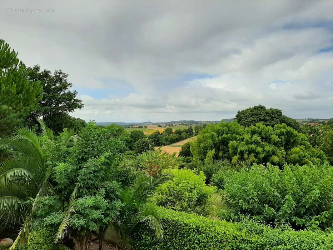 Maison à AUBETERRE-SUR-DRONNE